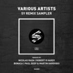 cover: Arnas D|Audio Junkies|Kastis Torrau|Lom|Lonya|Madloch - 5Y SA Remix Sampler