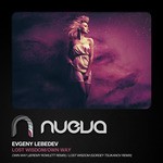 cover: Evgeny Lebedev - Lost Wisdom/Own Way (Remixes)