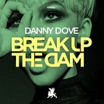 cover: Danny Dove - Break Up The Dam