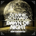 cover: Dominik Schwarz - Dawn Of Night