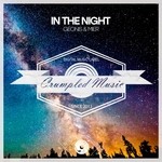 cover: Geonis|Mier - In The Night