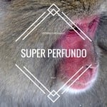 cover: Federico Romanzi - Super Perfundo