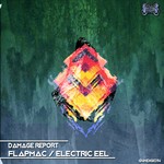 cover: Damage Report - Flapmac/Electric Eel