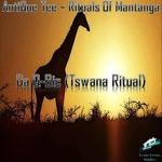 cover: Antique Tee - Rituals Of Mantanga