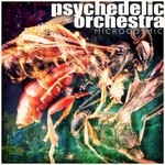 cover: Psychedelic Orchestra - Microcosmic