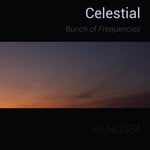 cover: Bunch Of Frequencies - Celestial