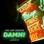 cover: The Last Skeptik - Damn!