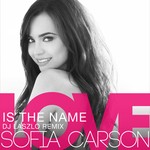 cover: Sofia Carson - Love Is The Name