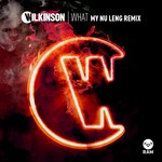 cover: Wilkinson - What