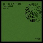 cover: Various - Essential Vol 13