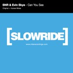 cover: Snr & Evin Skye - Can You See