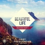 cover: Lost Frequencies|Sandro Cavazza - Beautiful Life