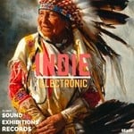 cover: Dj Moy - India Electronic