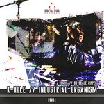 cover: K-hole - Industrial Organism