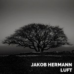 cover: Jakob Hermann - LUFT