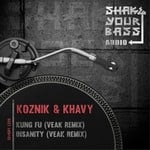 cover: Koznik & Khavy - Kung Fu/Insanity