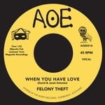 cover: Felony Theft - When You Have Love