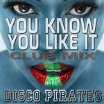 cover: Disco Pirates - You Know You Like It (Dance Remix)