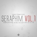 cover: Acting Damage|Aweminus|Crow|Culver|Haunta|Kozik|Th?nk - Seraphim Vol 1