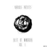 cover: Various - Best Of Minordub Vol 1