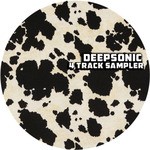 cover: Deepsonic - 4 Track Sampler