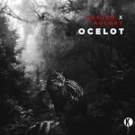 cover: Haezer X Aglory - Ocelot