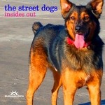 cover: The Street Dogs - Insides Out