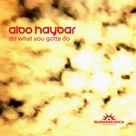 cover: Aldo Haydar - Do What You Gotta Do