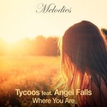 cover: Angel Falls|Tycoos - Where You Are