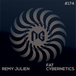 cover: Remy Julien - Fat Cybernetics