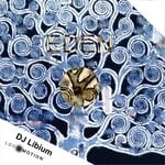 cover: Dj Libium - Eden