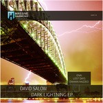 cover: David Salow - Dark Lightning