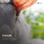 cover: Eye4one - Function