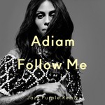 cover: Adiam - Follow Me