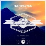 cover: Ronfoller - Hurting You