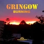 cover: Gringow - Burning