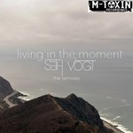 cover: Seth Vogt - Living In The Moment (The Remixes)