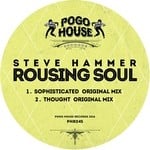 cover: Steve Hammer - Rousing Soul