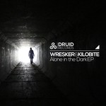 cover: Wresker & Kilobite - Alone In The Dark