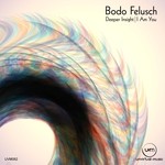 cover: Bodo Felusch - Deeper Insight/I Am You