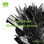 cover: Paul2paul - Monophonic Dream