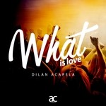 cover: Dilan Acapela - What Is Love