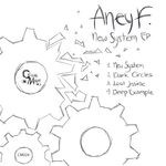 cover: Aney F. - New System