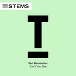 cover: Ben Remember - Can't You See