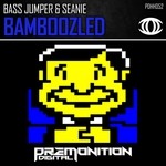 cover: Bass Jumper|Seanie Jackson - Bamboozled