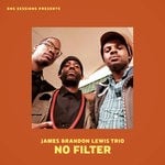 cover: James Brandon Lewis Trio - No Filter