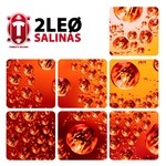 cover: 2leo - Salinas