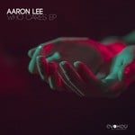 cover: Aaron Lee - Who Cares