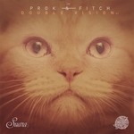 cover: Prok & Fitch - Double Vision