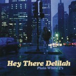 cover: Plain White T's - Hey There Delilah